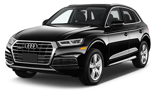 Audi 2019 Q5 exemplar 1