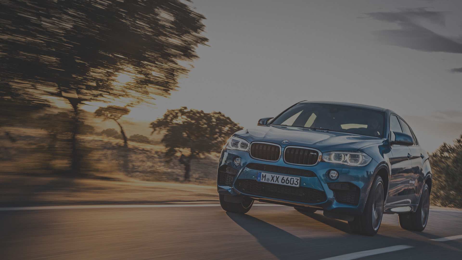 BMW X6M (2014–presente)